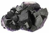Dark Purple Cubic Fluorite Crystal Cluster - China #128863-1
